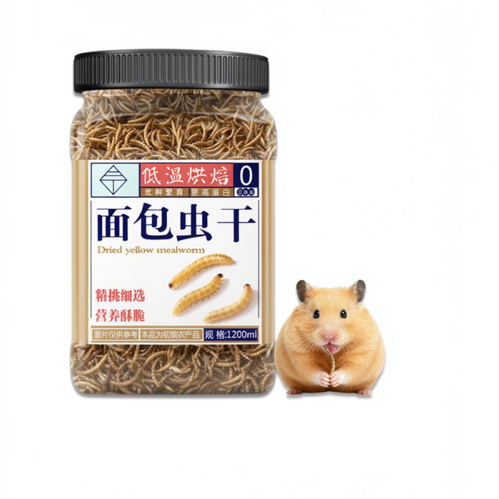 Food Snacks To Eat - Naturalne, wysokoproteiny suszone owady jako karmę
