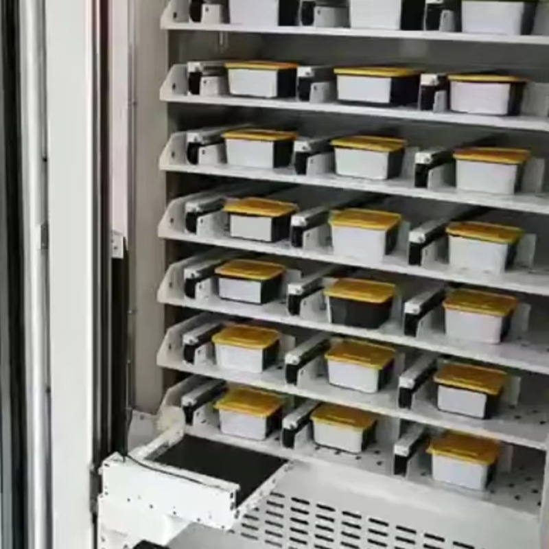 Automat z gotowanymi posiłkami – Food Snacks To Eat recenzja i cena